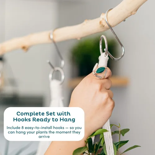 Vista 3 de Nook Theory Paquete de 4 Colgadores de Macramé para Plantas con 8 Ganchos - Macetas Colgantes para Plantas de Interior, Colgadores de Macramé Boho