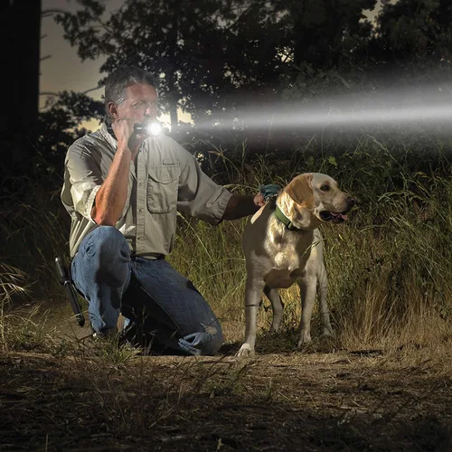 Vista 34 de Maglite – Linterna resistente 2-células D incandescente en caja expositora