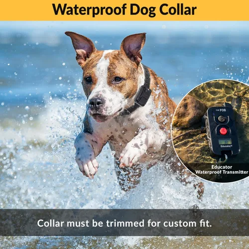 Vista 5 de Educator FOB FE-560 Collar de entrenamiento para perros con control remoto – Collar electrónico recargable impermeable de 300 yardas para perros más
