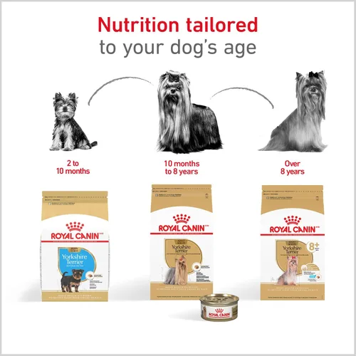Vista 7 de Royal Canin Breed Health Nutrition Yorkshire Terrier Cachorro Alimento Seco para Perros, Bolsa de 2.5 lb