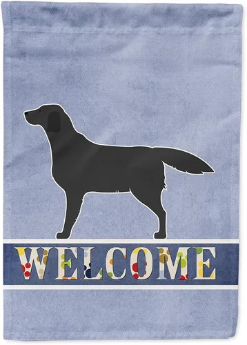 Vista 10 de Caroline's Treasures BB5552GF Affenpinscher Bandera de bienvenida para jardín, bandera decorativa para patio exterior, patio, parterres