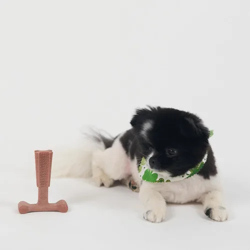 Vista 11 de SPOT Bam-Bones Plus T Bone - Juguete masticable de fibra de bambú y nailon para perros masticadores moderados a agresivos, duradero y sin astillas