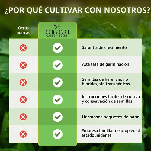 Vista 7 de Semilla de judía polera Kentucky Wonder para plantar - 1 paquete con instrucciones para plantar y cultivar judías verdes en tu jardín de hortalizas