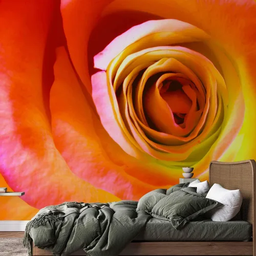 Vista 5 de artgeist Mural de pared Rosa de 157 x 122 pulgadas - Papel tapiz no tejido XXL, decoración de pared de forro polar, impresión fotográfica, diseño