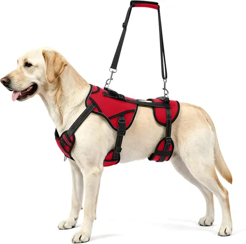 Vista 10 de NOYAL Arnés de elevación para perros para mascotas mayores y lesionadas – Soporte de cuerpo completo con malla transpirable, ayuda de pierna