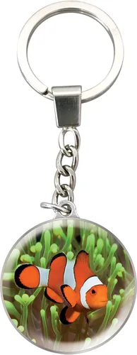 Vista 17 de Deluxebase Magnidome Llavero de domo en forma de cúpula con cadena de acero inoxidable. Llavero de cúpula de cristal