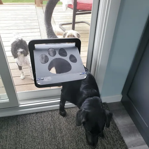 Vista 8 de Puerta de perro grande para puerta mosquitera, fácil de instalar Puerta mosquitera para mascotas con cerradura para puerta corredera, puerta