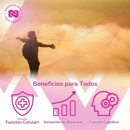 Vista 3 de Nootropics Depot Cápsulas de berberina HCL + silimarina 500mg + 90mg 60 unidades Apoya la función celular, la función metabólica