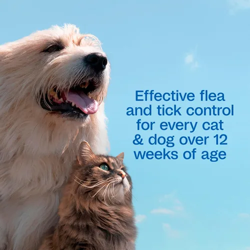 Vista 4 de ADAMS Plus Botanicals Champú para pulgas y garrapatas con Precor para perros, gatos, cachorros y gatitos, champú de pulgas para tratar