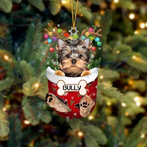 Vista 13 de IZI POD Affenpinscher Adorno de Navidad personalizado para perro, adorno de bolsillo de nieve para perro para árbol de Navidad, adorno acrílico