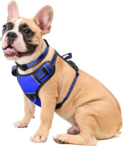 Vista 24 de Arnés para perro sin tirones, arneses para mascotas con collar, chaleco Oxford reflectante y ajustable, hebillas delanteras y traseras para correa