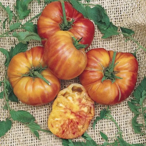 Vista 2 de Semillas de tomate arcoíris a rayas grandes, más de 100 semillas para cultivar, cultivar tomates exóticos sabrosos, sin OMG