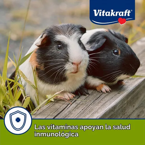 Vista 5 de Vitakraft Vita Smart - Comida para conejillo de indias, 4 libras