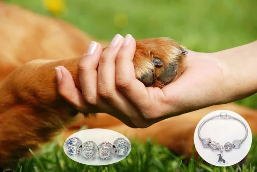 Vista 5 de ENJOOOY Cuentas de plata de ley con estampado de pata de perro con cristales de circonita cúbica para pulseras de cuentas estilo Pandora
