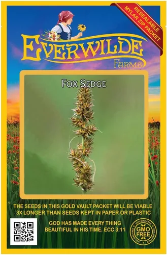 Vista 4 de Everwilde Farms - Semillas de hierba nativa Fox Sedge de 1 onza - Gold Vault