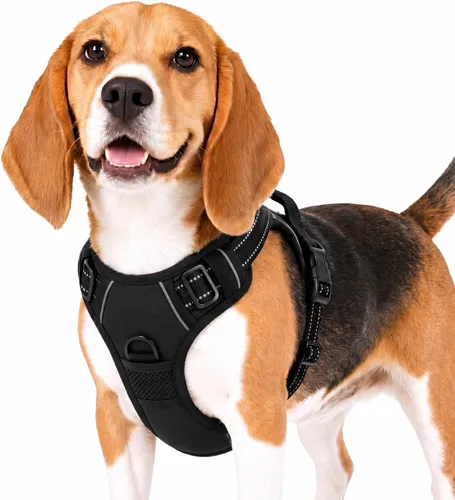 Vista 6 de Funfox Arnés para perro sin tirones, chaleco ajustable para mascotas con asa de control y clip frontal, diseño reflectante para perros pequeños