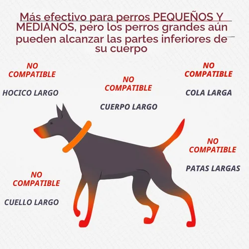 Vista 6 de IDOMIK Collar de recuperación para perros, cono suave impermeable para Azul