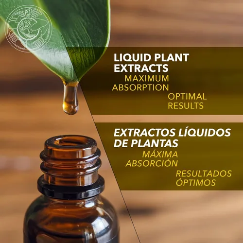 Vista 4 de Chaparral, Gobernadora (Larrea tridentata) Extracto de hierbas 1 fl oz.