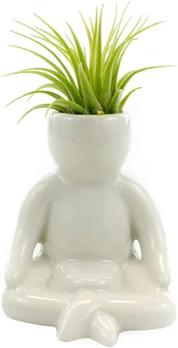 Vista 10 de NW Wholesaler Maceta de cerámica blanca con forma de persona feliz de 3.25 pulgadas con planta de aire Tillandsia viva, plantas de aire