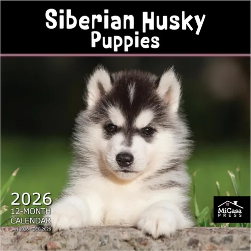 Vista 108 de MICASA PRESS Calendario de pared de Australian Shepherds Aussies 2027 02 - Pastores australianos