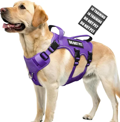 Vista 25 de WINSEE - Arnés para perro a prueba de fugas, arnés Molle de servicio y trabajo con doble asa, chaleco táctico para mascotas con 4 parches