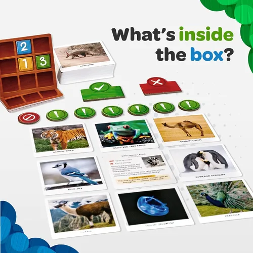 Vista 2 de National Geographic: Secret Clue Animals - Juego de cartas para niños de 7 años en adelante, juegos de mesa divertidos y cooperativos para niñas