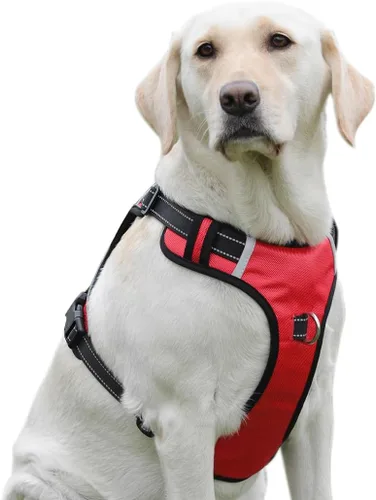 Vista 10 de Arnés para perro sin tirones con 2 anillos en D, ajustable, reflectante, suave, acolchado, chaleco Oxford y asa para perros pequeños, negro, S