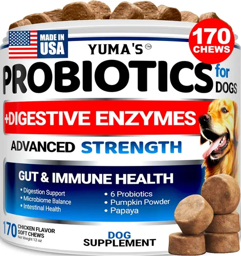 Vista 12 de Probióticos para perros y enzimas digestivas – 170 probióticos masticables para perros – Probiótico para perros – Anti diarrea, malestar estomacal