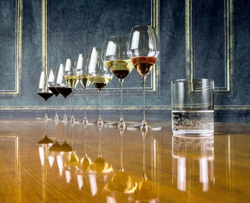 Vista 7 de Riedel Veloce Cabernet
