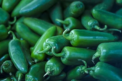 Vista 2 de Pimienta caliente Jalapeno Semillas de hortalizas de M Great Heirloom por semillas Unido