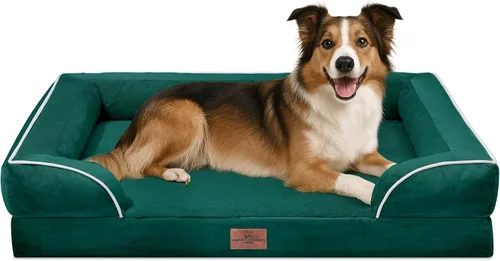 Vista 33 de Comfort Expression - Cama ortopédica para perros medianos, 28 x 19 pulgadas, cama impermeable y de apoyo de espuma con cojines removibles, sofá