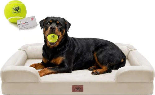 Vista 27 de Cama ortopédica impermeable para perros medianos y grandes Beige