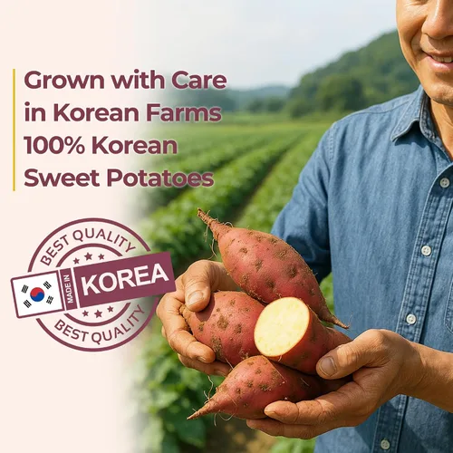 Vista 4 de Gangwon Export - Bocadillos masticables coreanos de batata dulces envueltos individualmente [25] – Palitos de batata veganos 100% naturales – Sin