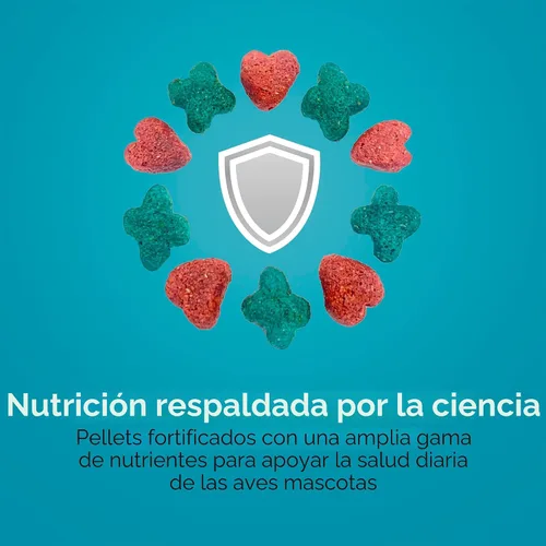 Vista 7 de Comida saludable para pájaros Kaytee Forti Diet Pro, para periquitos, Pastel de cumpleaños Apoyo digestivo diario. Comida de loro para cacatúas.