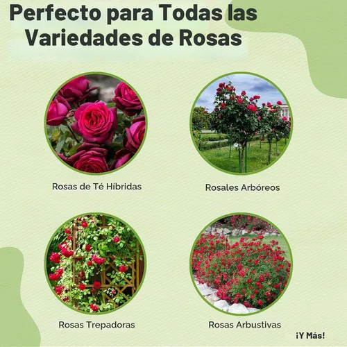 Vista 2 de Perfect Plants - Mezcla especial para plantar rosas Nutrientes prémium para rosas en flor como Drift, Knockout y reliquia (4 cuartos de galón)
