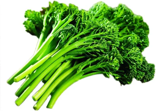 Vista 2 de Park Seed Aspabroc Hybrid Broccoli Seeds, 2 paquetes de 20 semillas