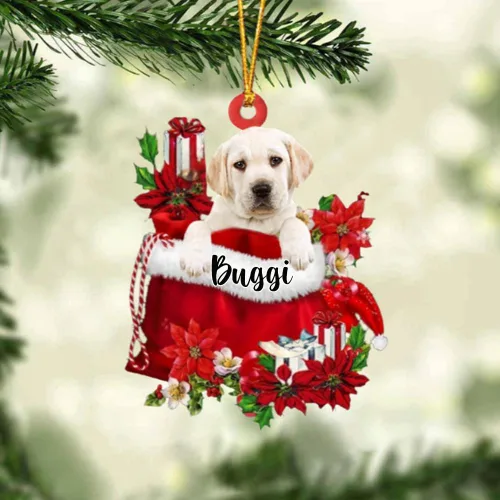 Vista 43 de Perro Akita Inu personalizado en bolsa de regalo, adorno de Navidad, nombre personalizado, regalo para amantes de los perros, familia, Navidad