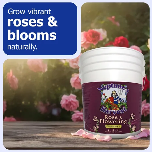 Vista 2 de Neptune's Harvest Fertilizante de rosas y flores (2-6-4) - Cubo de 5 galones - Alimento líquido orgánico para flores vibrantes y crecimiento