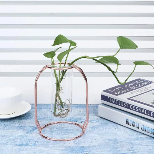 Vista 7 de Fydun Transparent Hydroponic Plant Vase Flowerpot Desktop Home Decoration Gold Wide Range of Uses (Rose Gold)