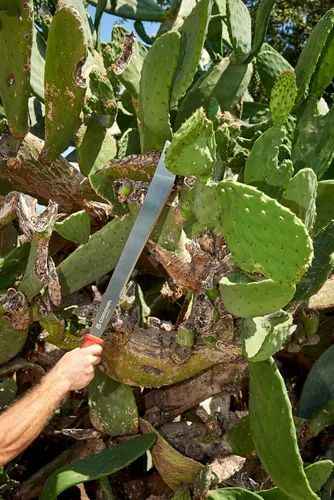 Vista 4 de Corona Tools MA 60062 ErgoHandle Machete, 22 pulgadas, plateado