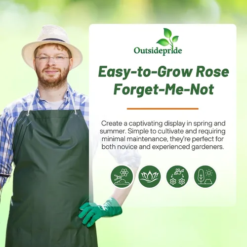 Vista 5 de Outsidepride 5000 semillas perennes Myosotis Alpestris Forget-Me-Not Rose Garden Semillas de flores para plantar