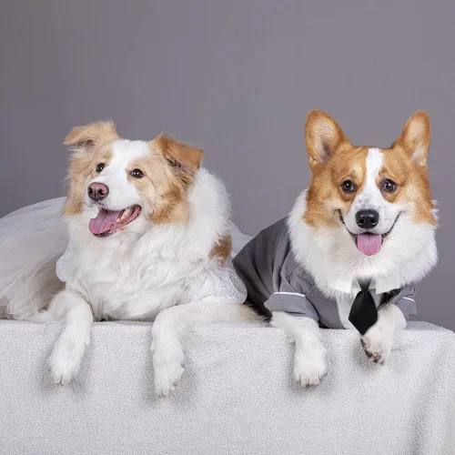 Vista 4 de Collar ajustable para perros pequeños, medianos y grandes, corbata de cumpleaños para perros (mediano, cuadros rojos/negros)