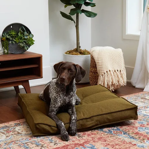 Vista 3 de Happy Hounds Milo - Cama cuadrada copetuda para perro, musgo, mediano (32 x 32 pulgadas)