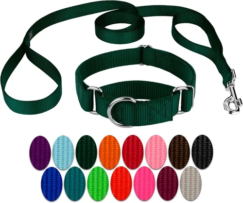 Vista 11 de Country Brook Design - Collar de perro de nailon Martingale y correa de doble asa-Negro-S