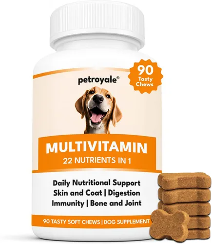 Vista 9 de Masticables multivitamínicos para perros – Apoyo articular + enzimas digestivas y probióticos – Multivitaminas masticables para perros – Vitaminas