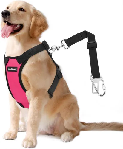 Vista 20 de VavoPaw cinturón de seguridad para perro, arnés de coche con hebilla ajustable para perro, cinturón de seguridad de nailon para mascotas, resistente
