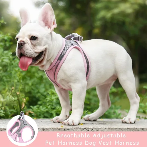 Vista 5 de Arnés sin tirones para perros pequeños, de malla transpirable, reflectante, para cachorros, gatos, chaleco ajustable para animales pequeños, conejo