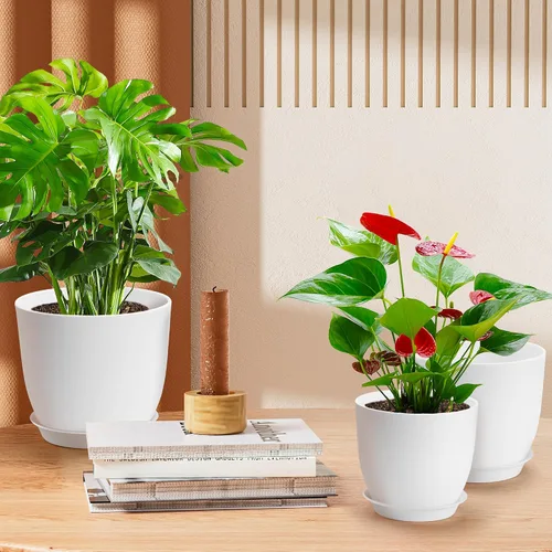 Vista 4 de Macetas de Plástico para Plantas de 9/8/7.5 pulgadas, Juego de 3, Macetas de Interior con Agujeros de Drenaje y Bandeja, Macetas de Plástico