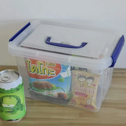 Vista 5 de Caja de almacenamiento transparente con tapa, cajas de plástico pequeñas de 6 litros, juego de 6