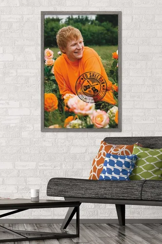 Vista 2 de Trends International Ed Sheeran - Póster de pared de campo de rosas, 22.37 x 34.00 pulgadas, versión enmarcada de madera de granero
